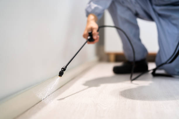 Licensed Termite Control service in Tecumseh, NE - Nex Pest Control