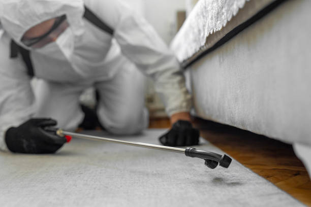 Professional Termite Control technician working in Tecumseh, NE