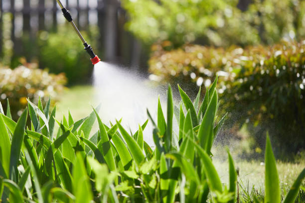 24/7 Emergency Termite Control experts in Tecumseh, NE